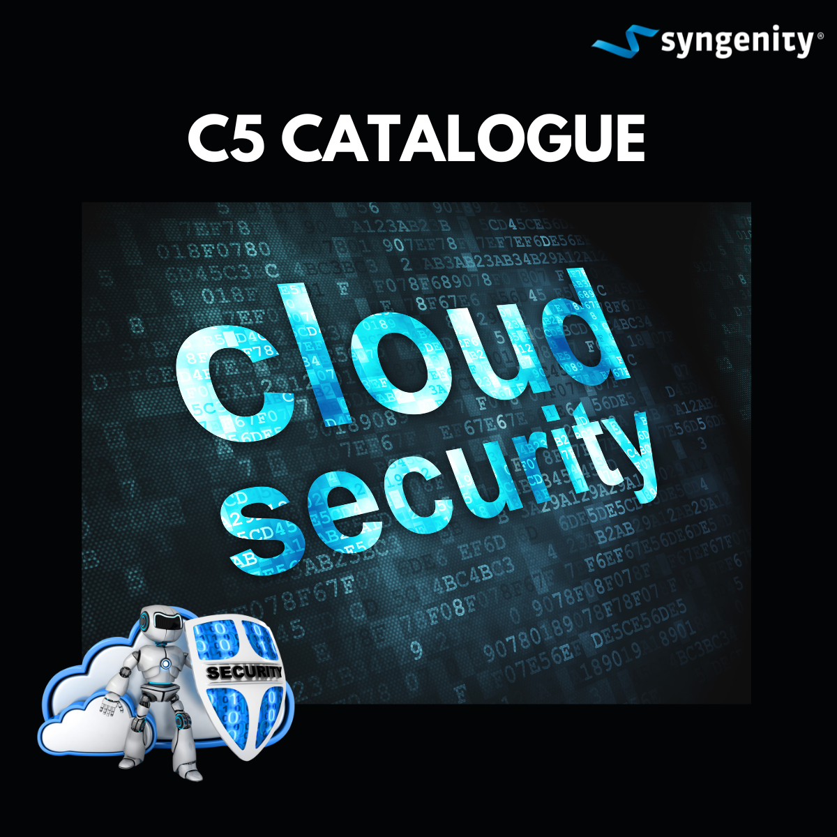 C5 Catalog for cloud security