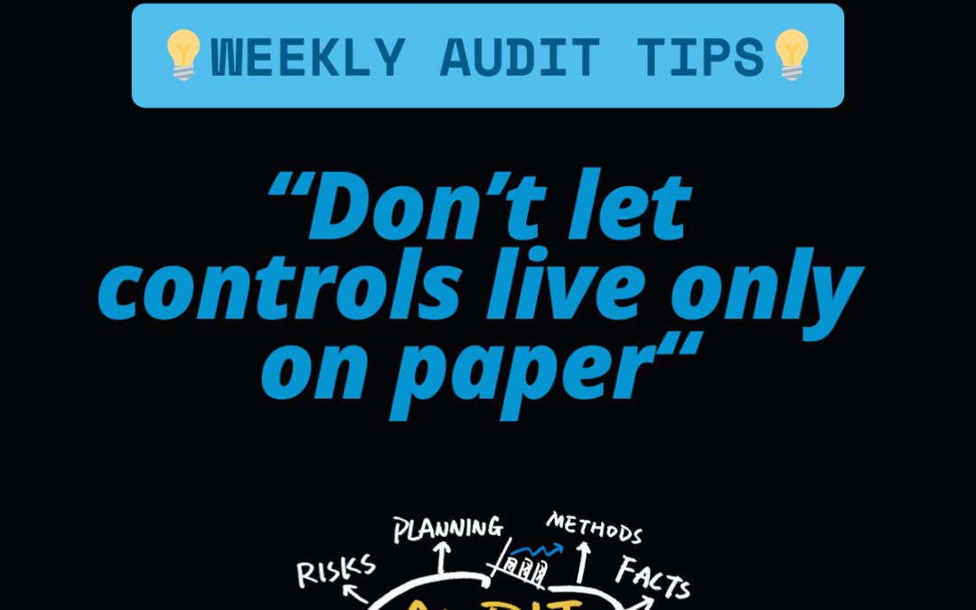 Conseils d’audit Vol. 2