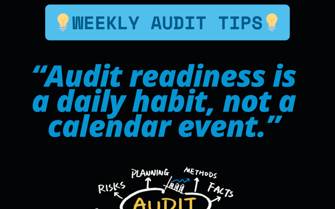 Conseils d&rsquo;audit Vol. 4 Préparation à l&rsquo;audit